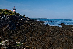 West Quoddy Head Lighthouse
